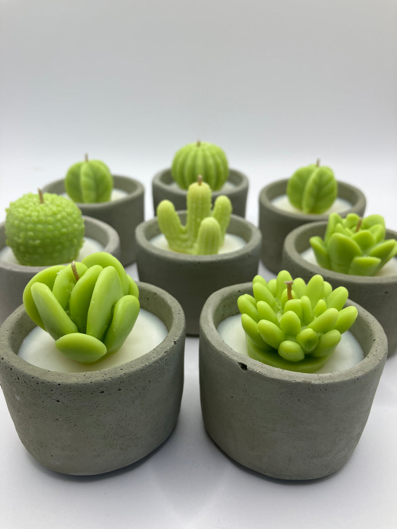 Cactus Succulent Candle Pots