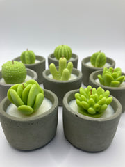 Cactus Succulent Candle Pots