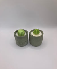 Cactus Small Tumblers - Set of 2 - Natural Soy Candles - Khaki Green