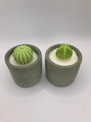 Cactus Small Tumblers - Set of 2 - Natural Soy Candles - Khaki Green