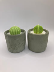 Cactus Small Tumblers - Set of 2 - Natural Soy Candles - Khaki Green