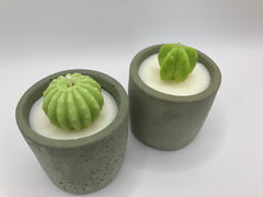 Cactus Small Tumblers - Set of 2 - Natural Soy Candles - Khaki Green