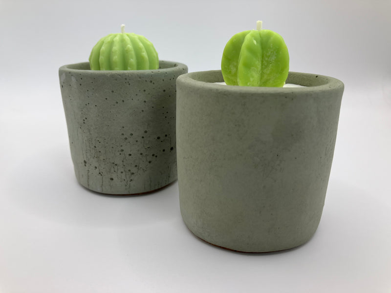 Cactus Small Tumblers - Set of 2 - Natural Soy Candles - Khaki Green