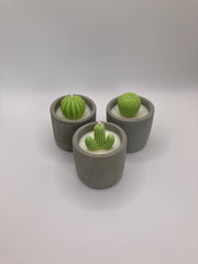 Cactus Small Tumblers - Set of 3 - Natural Soy Candles - Grey