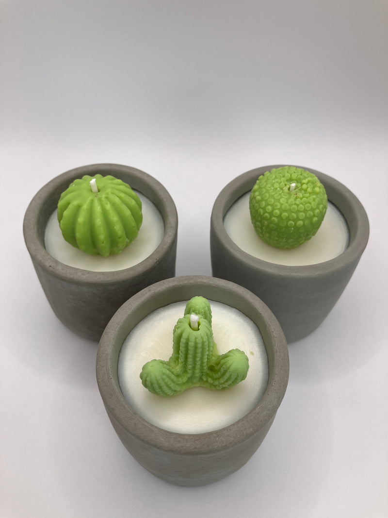 Cactus Small Tumblers - Set of 3 - Natural Soy Candles - Grey