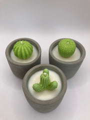 Cactus Small Tumblers - Set of 3 - Natural Soy Candles - Grey