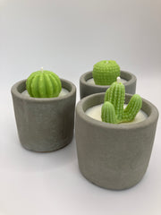 Cactus Small Tumblers - Set of 3 - Natural Soy Candles - Grey