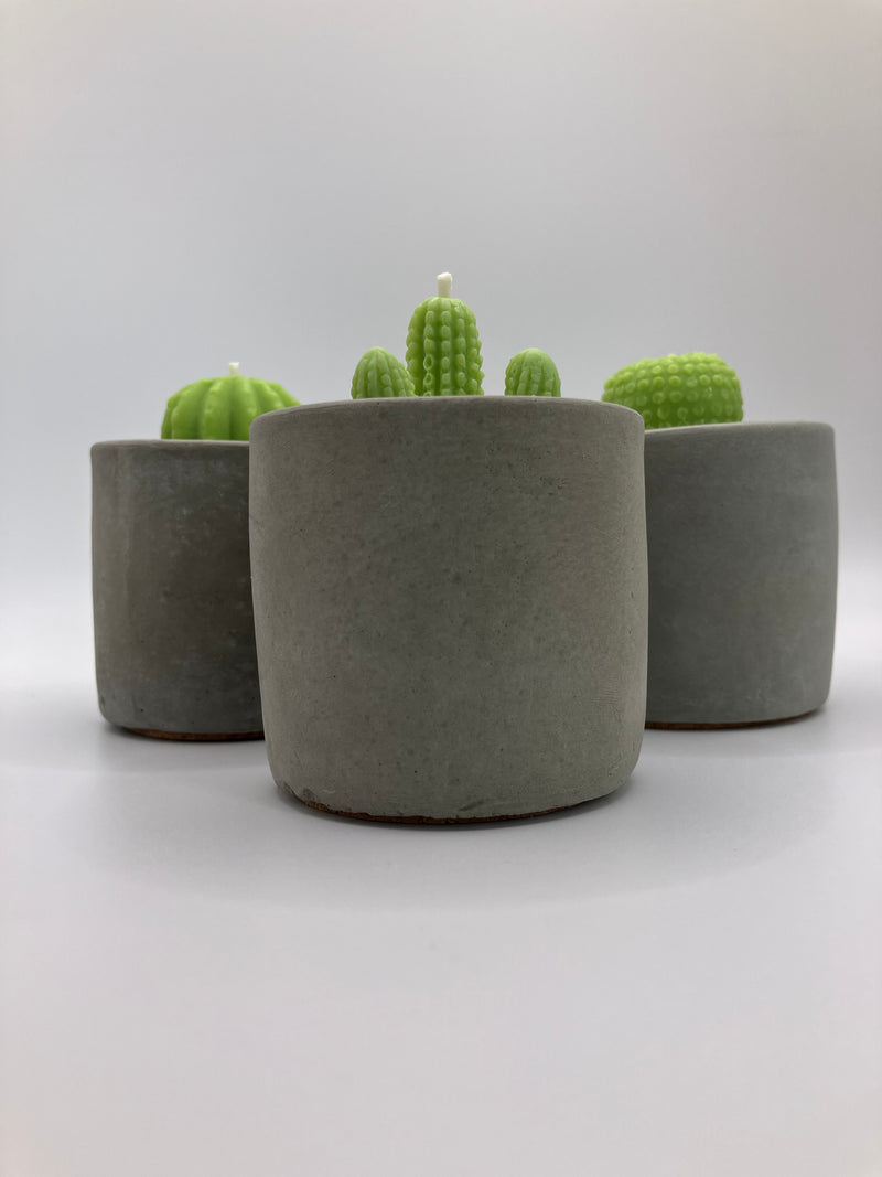 Cactus Small Tumblers - Set of 3 - Natural Soy Candles - Grey