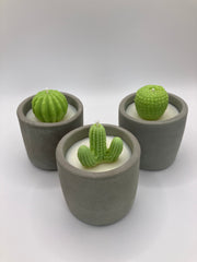 Cactus Small Tumblers - Set of 3 - Natural Soy Candles - Grey