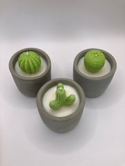 Cactus Small Tumblers - Set of 3 - Natural Soy Candles - Grey