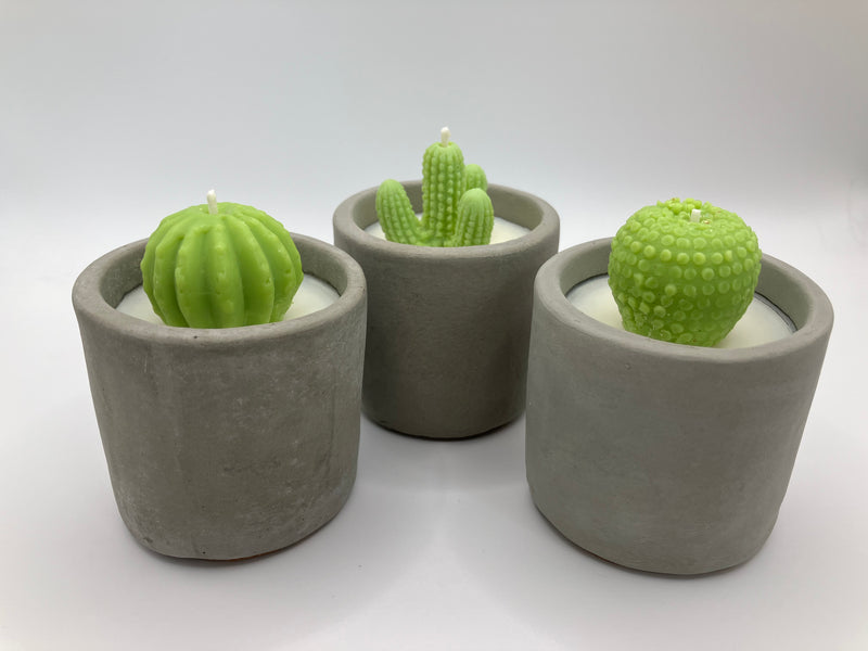 Cactus Small Tumblers - Set of 3 - Natural Soy Candles - Grey