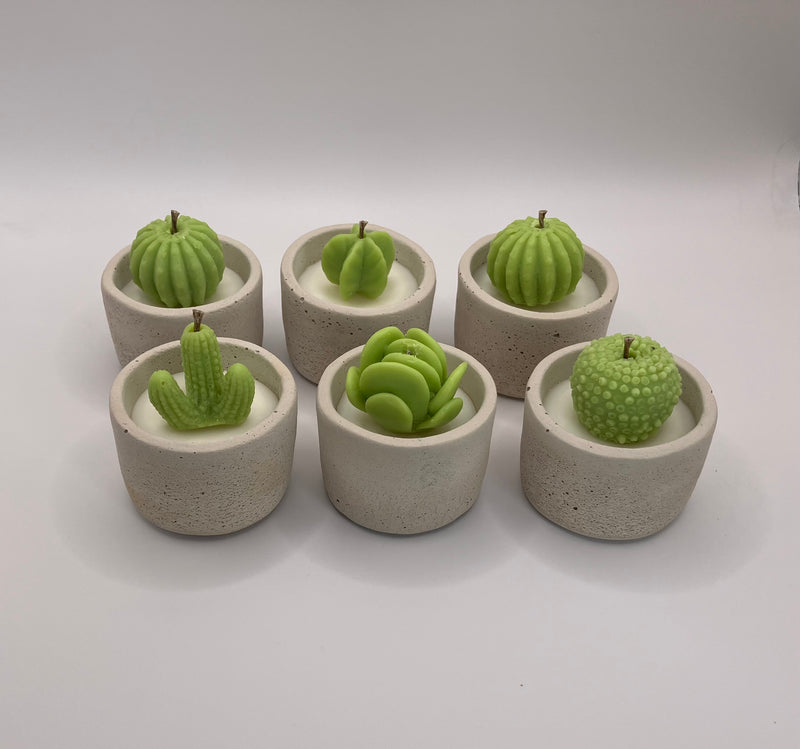 Cactus Large Tea Lights - Set of 6 - Natural Soy Candles - Bone