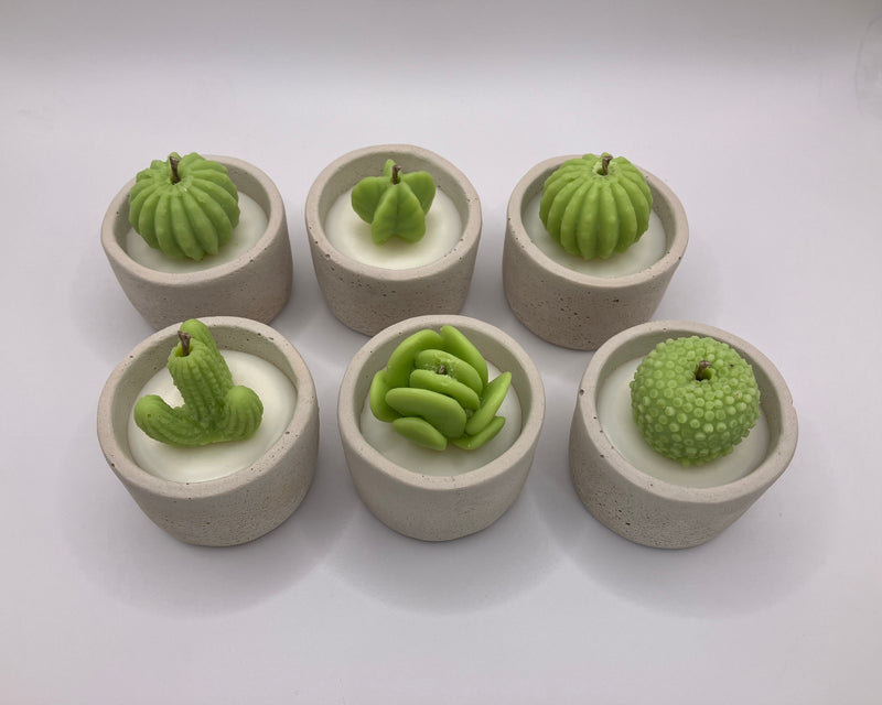 Cactus Large Tea Lights - Set of 6 - Natural Soy Candles - Bone