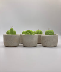 Cactus Large Tea Lights - Set of 6 - Natural Soy Candles - Bone