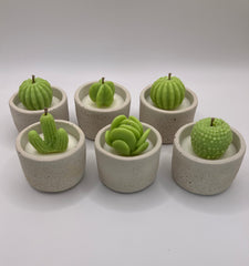 Cactus Large Tea Lights - Set of 6 - Natural Soy Candles - Bone