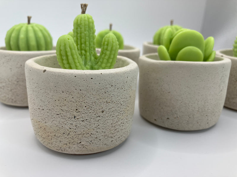 Cactus Large Tea Lights - Set of 6 - Natural Soy Candles - Bone