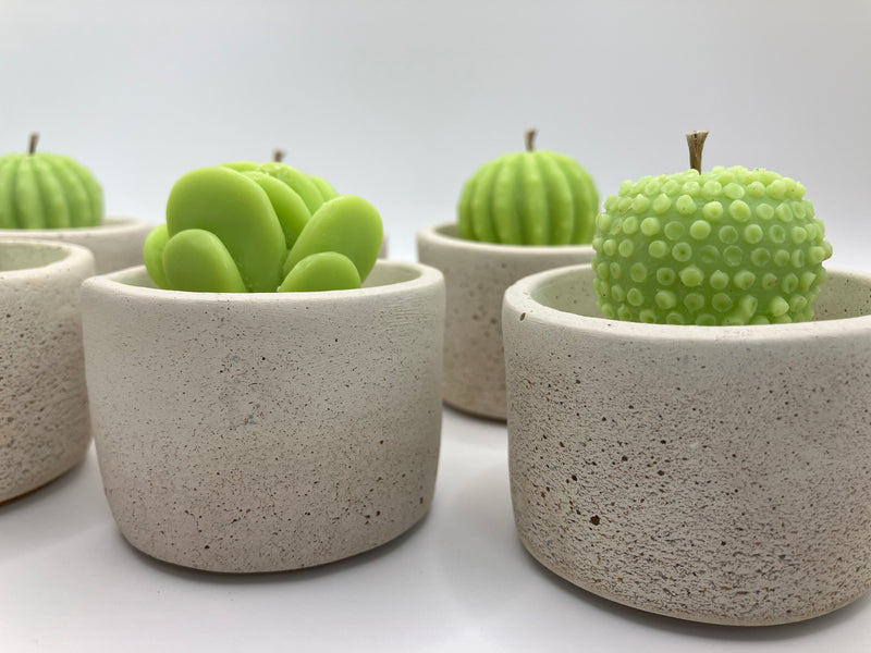 Cactus Large Tea Lights - Set of 6 - Natural Soy Candles - Bone