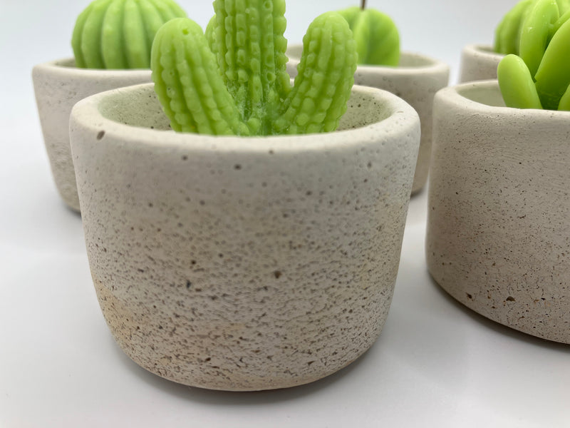 Cactus Large Tea Lights - Set of 6 - Natural Soy Candles - Bone