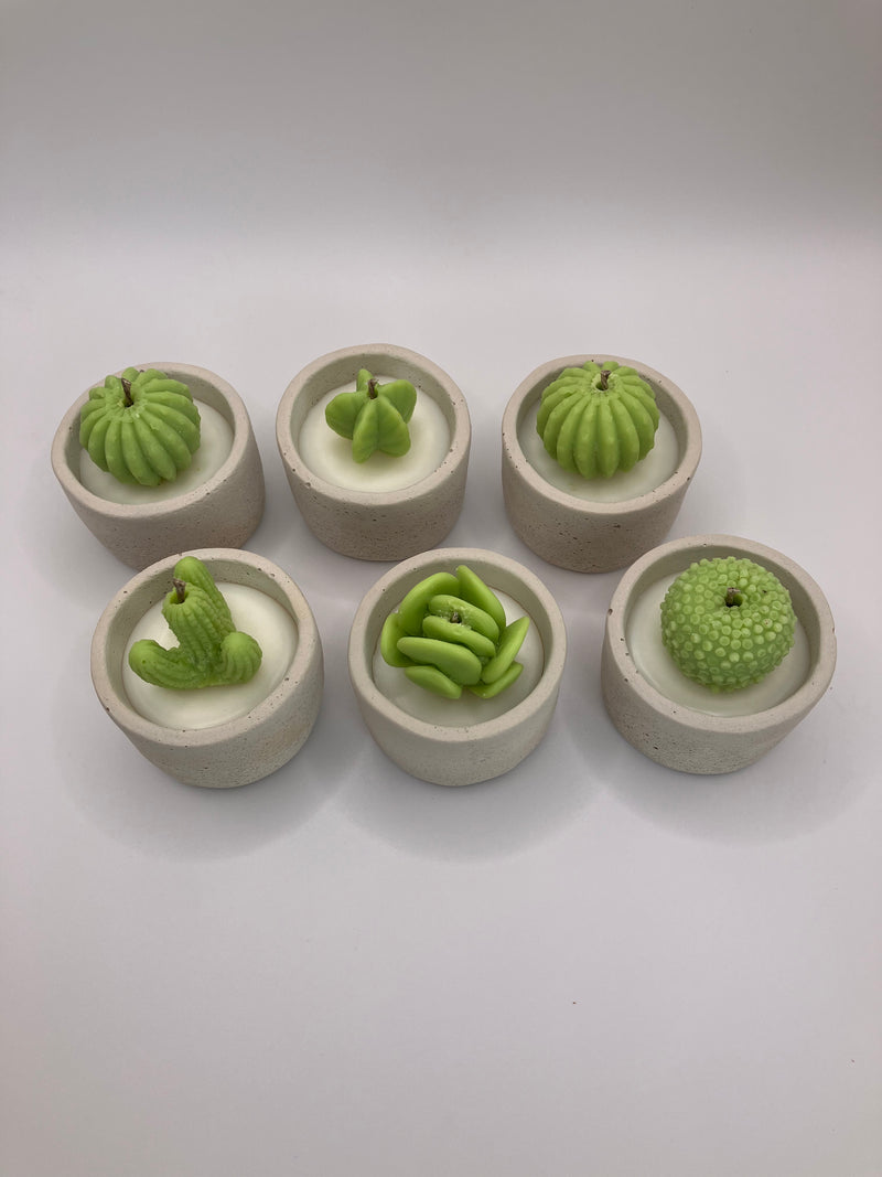 Cactus Large Tea Lights - Set of 6 - Natural Soy Candles - Bone