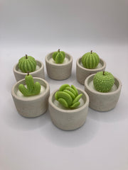 Cactus Large Tea Lights - Set of 6 - Natural Soy Candles - Bone