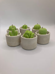 Cactus Large Tea Lights - Set of 6 - Natural Soy Candles - Bone