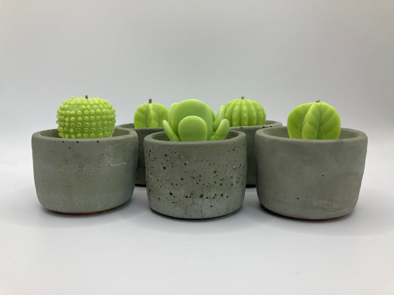 Cactus Large Tea Lights - Set of 5 - Natural Soy Candles - Khaki Green