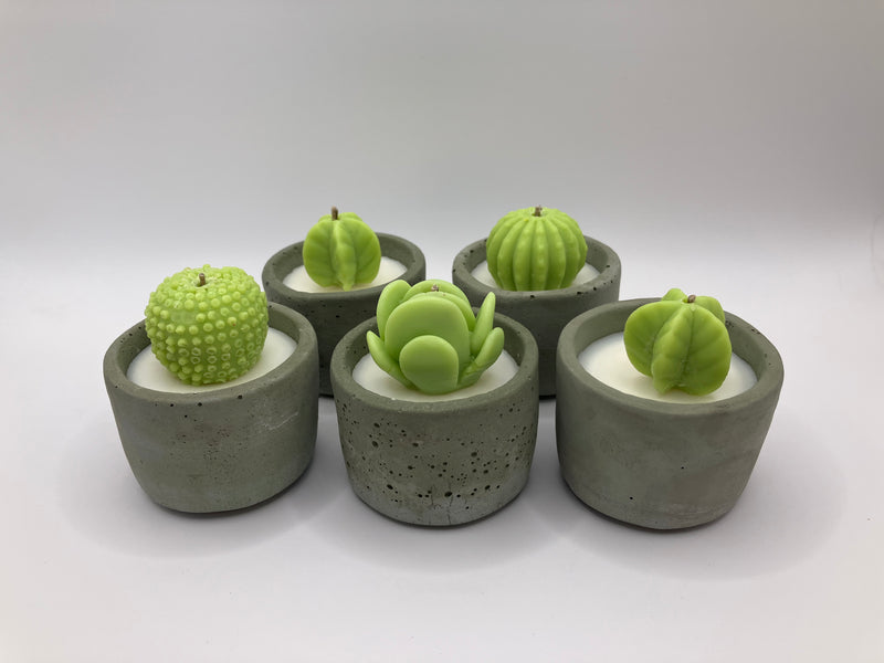 Cactus Large Tea Lights - Set of 5 - Natural Soy Candles - Khaki Green