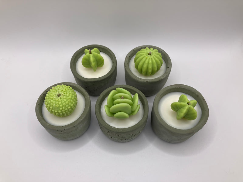 Cactus Large Tea Lights - Set of 5 - Natural Soy Candles - Khaki Green