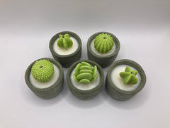 Cactus Large Tea Lights - Set of 5 - Natural Soy Candles - Khaki Green