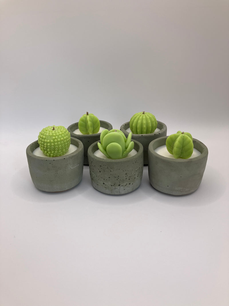 Cactus Large Tea Lights - Set of 5 - Natural Soy Candles - Khaki Green