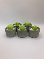 Cactus Large Tea Lights - Set of 5 - Natural Soy Candles - Khaki Green