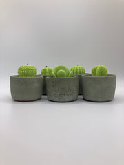 Cactus Large Tea Lights - Set of 5 - Natural Soy Candles - Khaki Green