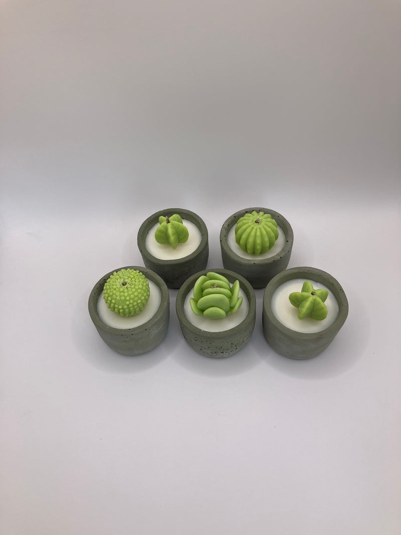 Cactus Large Tea Lights - Set of 5 - Natural Soy Candles - Khaki Green