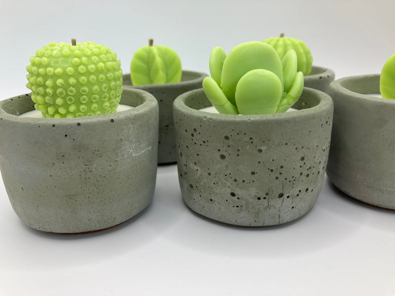 Cactus Large Tea Lights - Set of 5 - Natural Soy Candles - Khaki Green