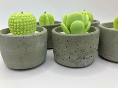 Cactus Large Tea Lights - Set of 5 - Natural Soy Candles - Khaki Green