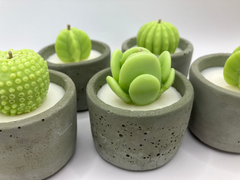 Cactus Large Tea Lights - Set of 5 - Natural Soy Candles - Khaki Green