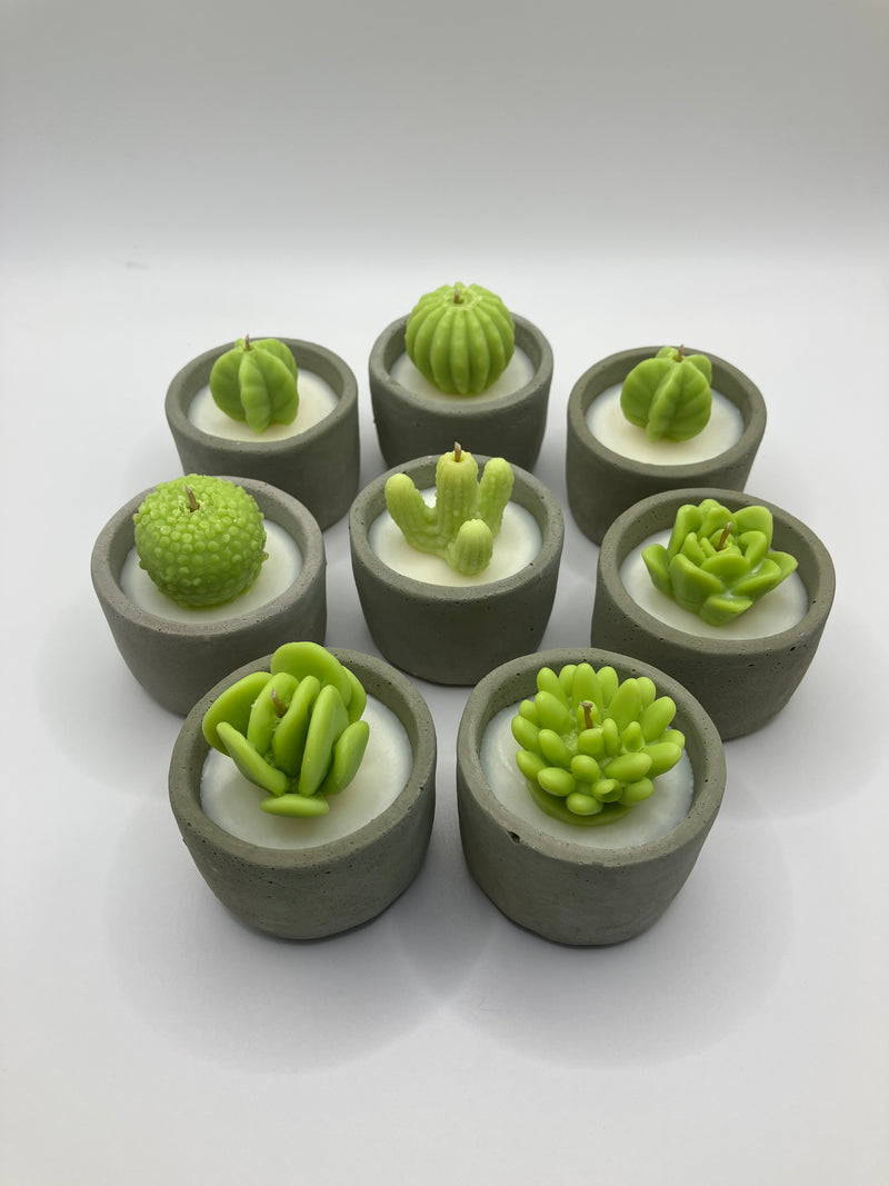 Cactus & Succulent Large Tea Lights - Set of 8 - Cactus Flower & Jade Scented - Natural Soy Candles - Gray