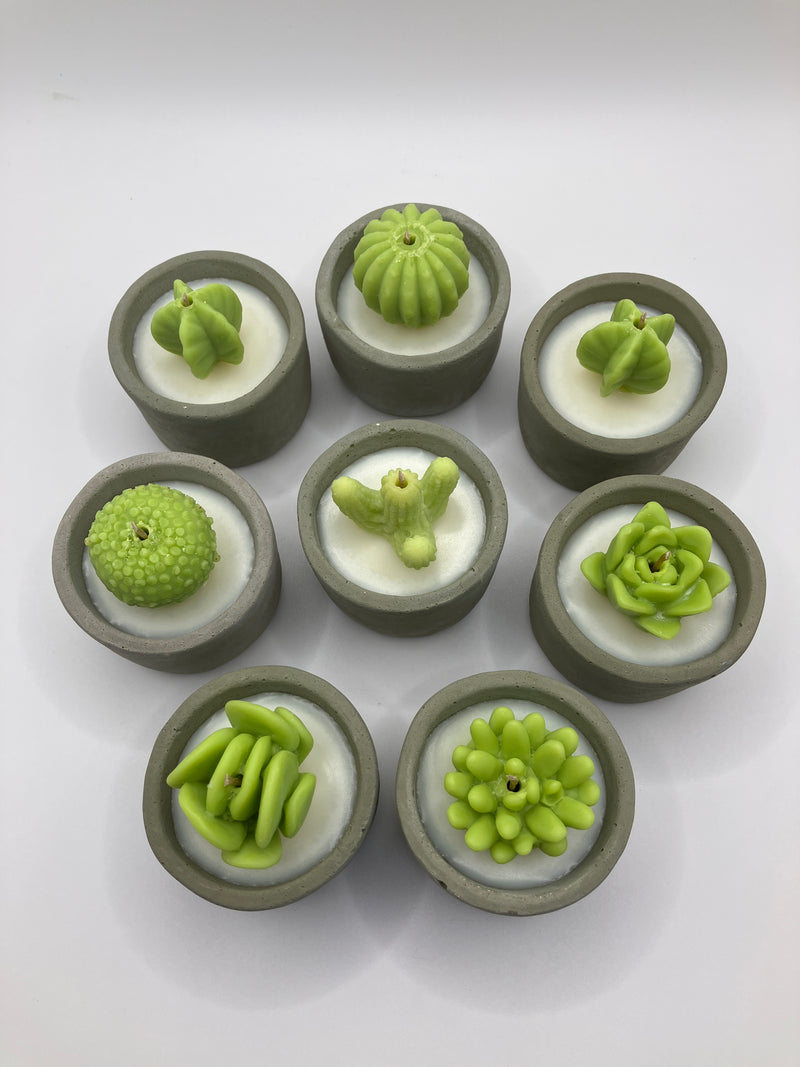 Cactus & Succulent Large Tea Lights - Set of 8 - Cactus Flower & Jade Scented - Natural Soy Candles - Gray