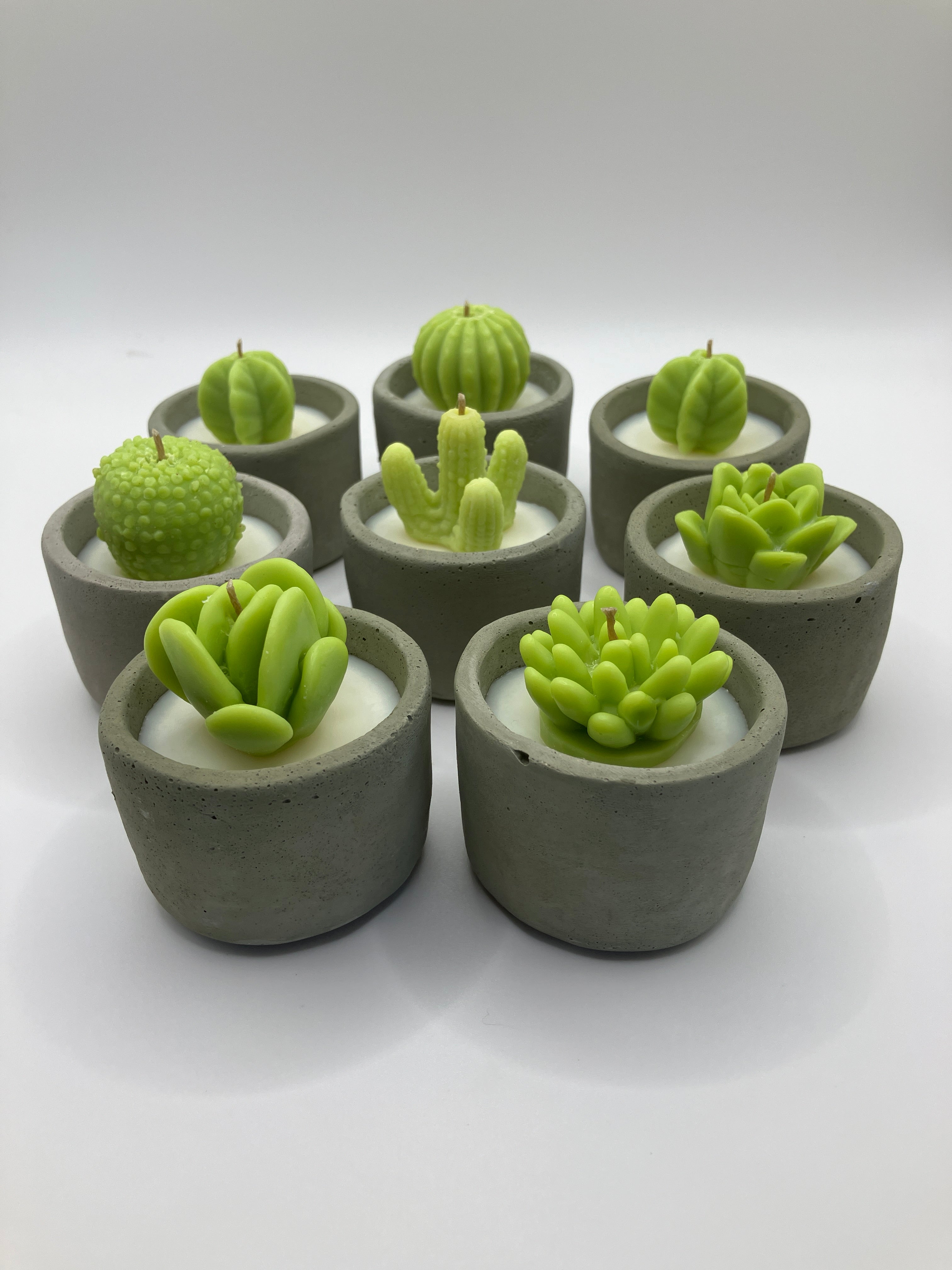 succulent plant candles Cactus & Succulent Large Tea Lights - Set of 8 - Cactus Flower & Jade Scented - Natural Soy Candles