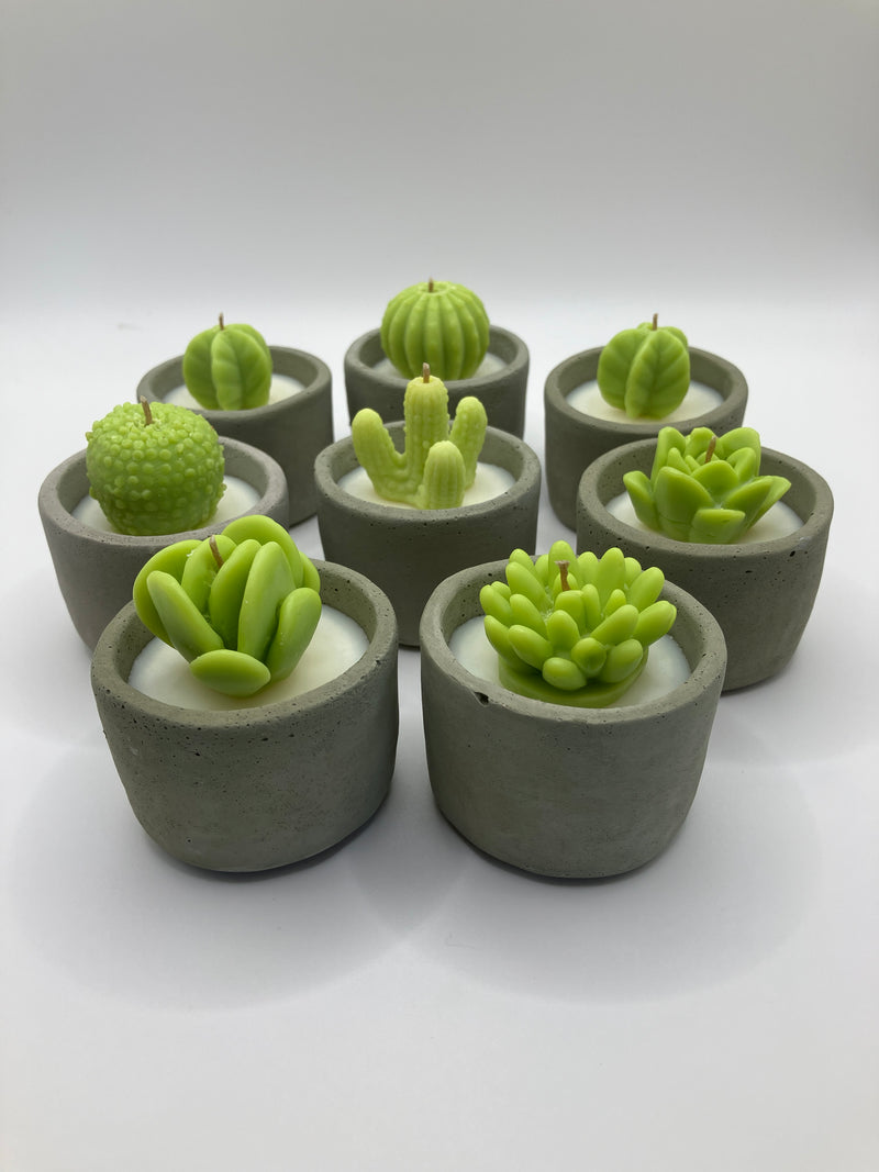 Cactus & Succulent Large Tea Lights - Set of 8 - Cactus Flower & Jade Scented - Natural Soy Candles - Gray