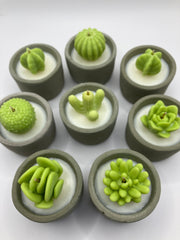 Cactus & Succulent Large Tea Lights - Set of 8 - Cactus Flower & Jade Scented - Natural Soy Candles - Gray