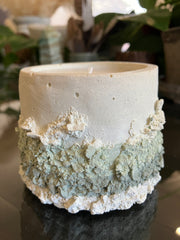 Rustic White, Sage & Khaki Natural Soy Candle - Fresh Cactus Flower & Jade Scented 5 oz Candle - Clean Scent Certified