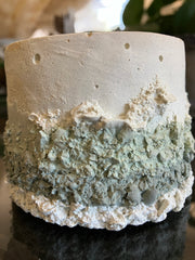 Rustic White, Sage & Khaki Natural Soy Candle - Fresh Cactus Flower & Jade Scented 5 oz Candle - Clean Scent Certified